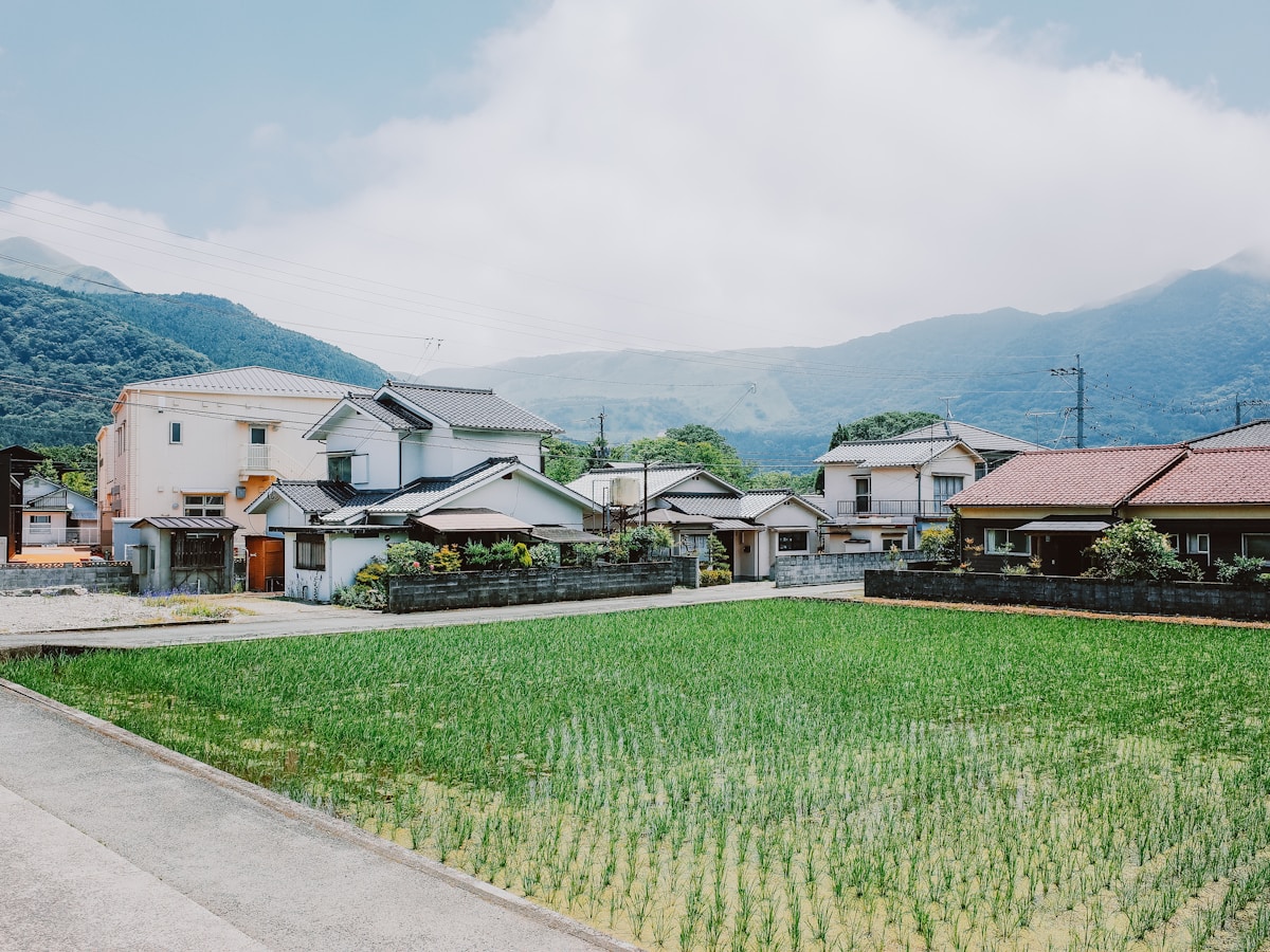 地域の風景